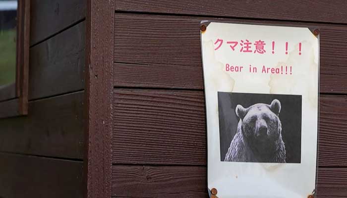 ‘Almost every day’: Japan battles spike in bear attacks