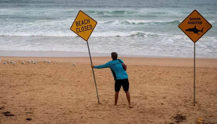 Sydney shuts beaches after fresh shark attack
