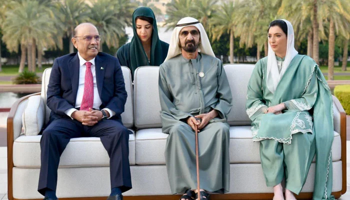 President Zardari meets UAE leadership, discusses trade ties
