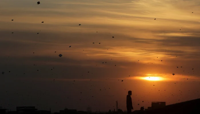 Is kite-flying banned after Basant conclusion?