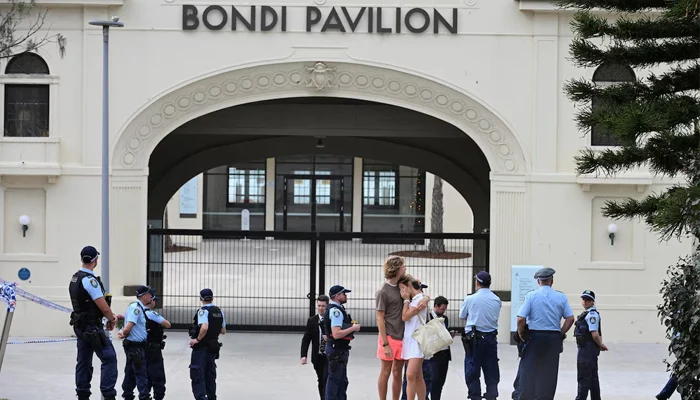 Alleged Bondi Beach gunman makes first court appearance