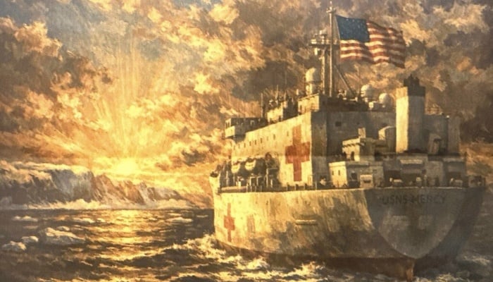 Trump says sending hospital boat to Greenland