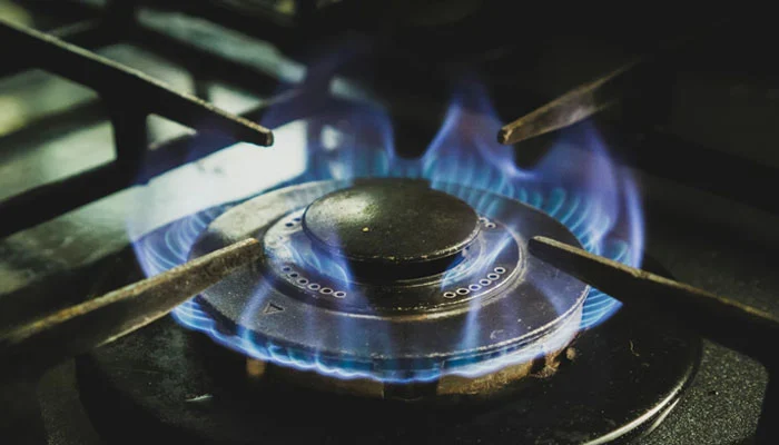 Rising gas bills: Experts ask PM to end monopoly