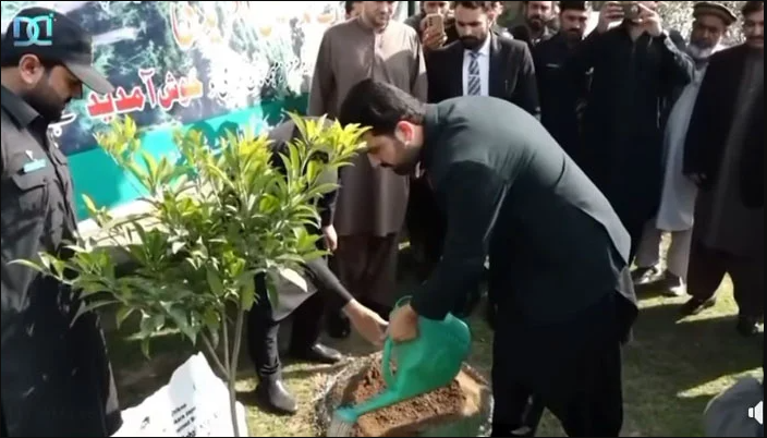 KP launches mass tree plantation drive under ‘Ehsaas Shajar’ campaign
