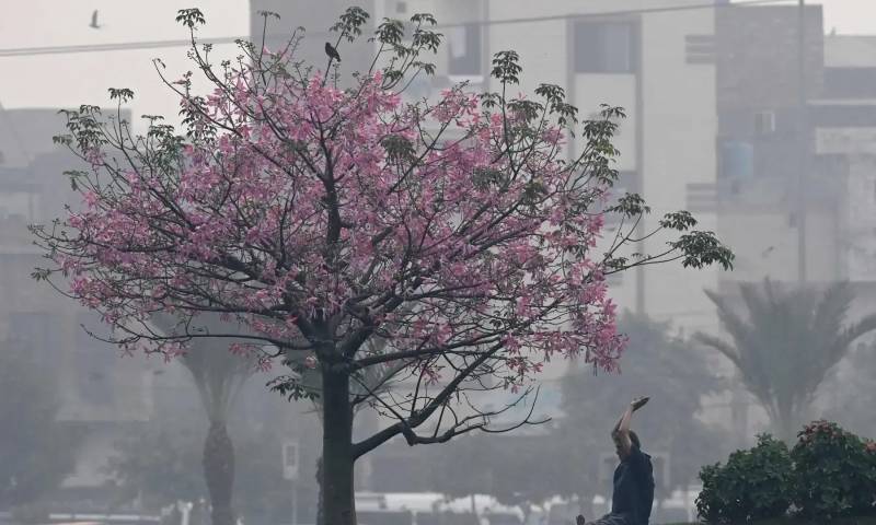 Pakistan tops global pollution rankings as majority of countries miss air quality standards