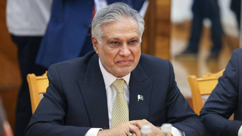 Ishaq Dar, EU foreign policy chief discuss regional situation