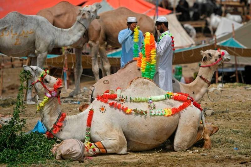 Eidul Azha likely on May 27