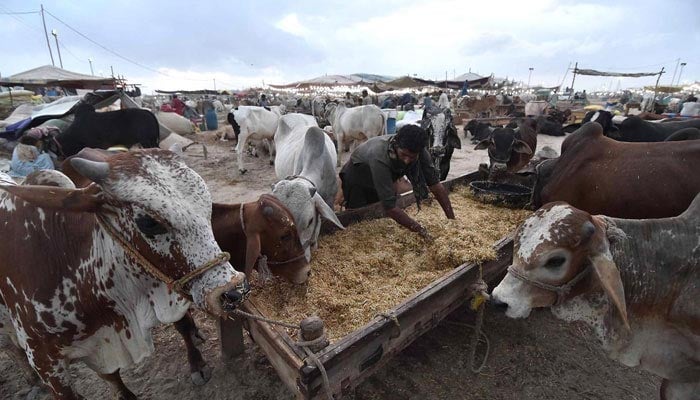 Govt announces Eid ul Adha 2026 holidays