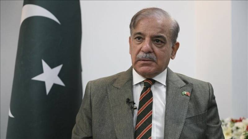 PM meets MNAs, discusses political situation and constituency issues