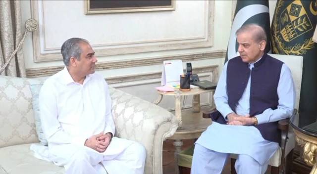 PM Shehbaz, Naqvi discuss security situation, GB polls