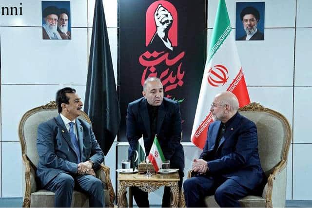 Chairman Senate discusses regional stability with Iranian Speaker