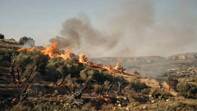 Firefighters continue to combat two major wildfires in Kef governorate of Tunisia