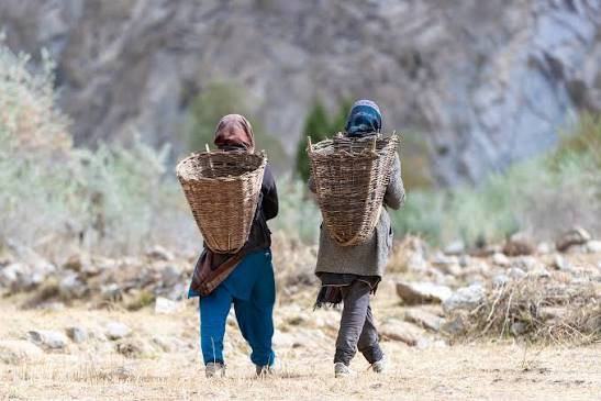 Punjab CM stresses importance of rural economy on World Rural Development Day