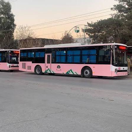 KP launches Pink Bus Service with 25pc fare discount for women